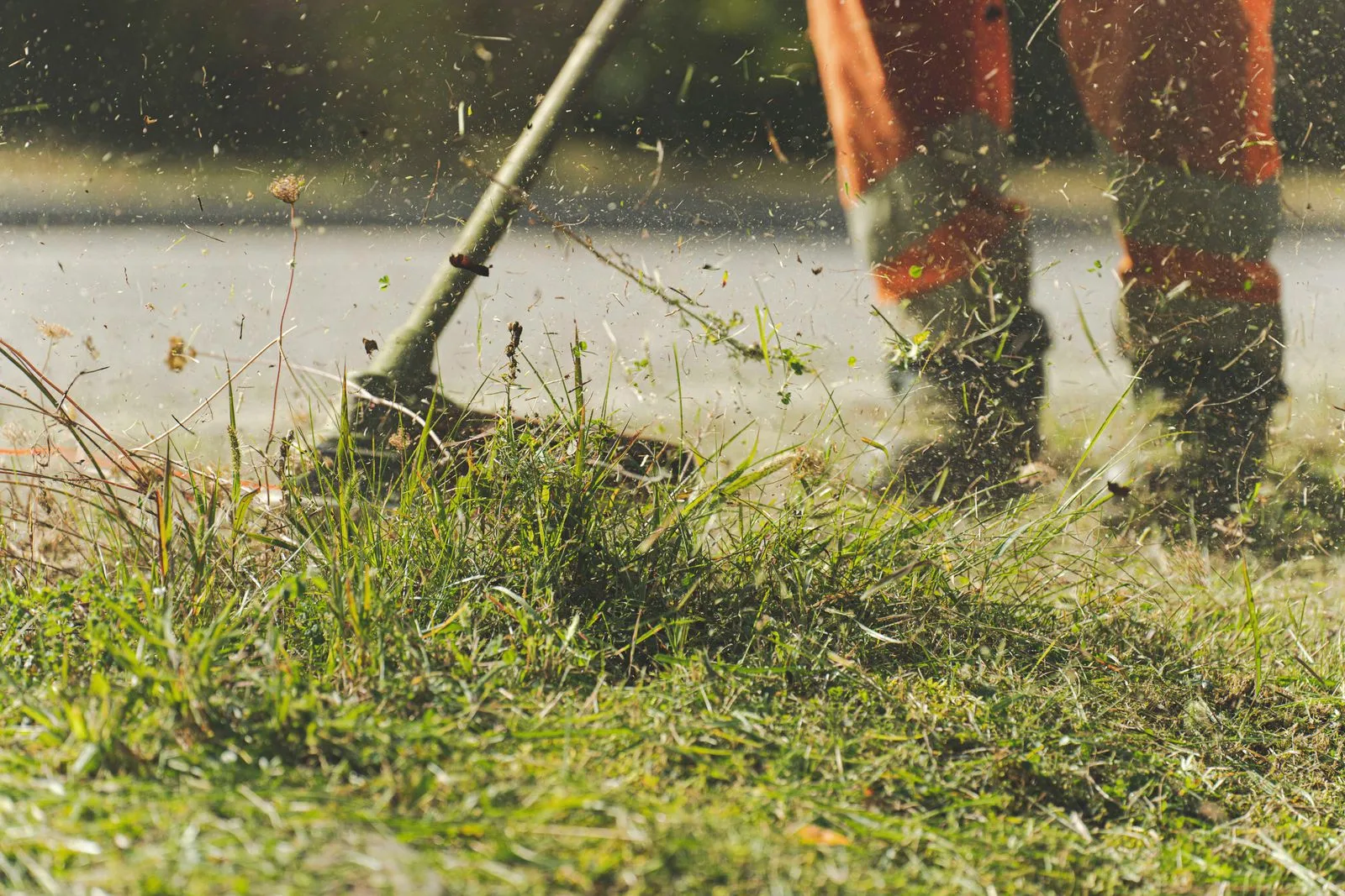 Person using a lawn mower to trim grass in a sunny garden