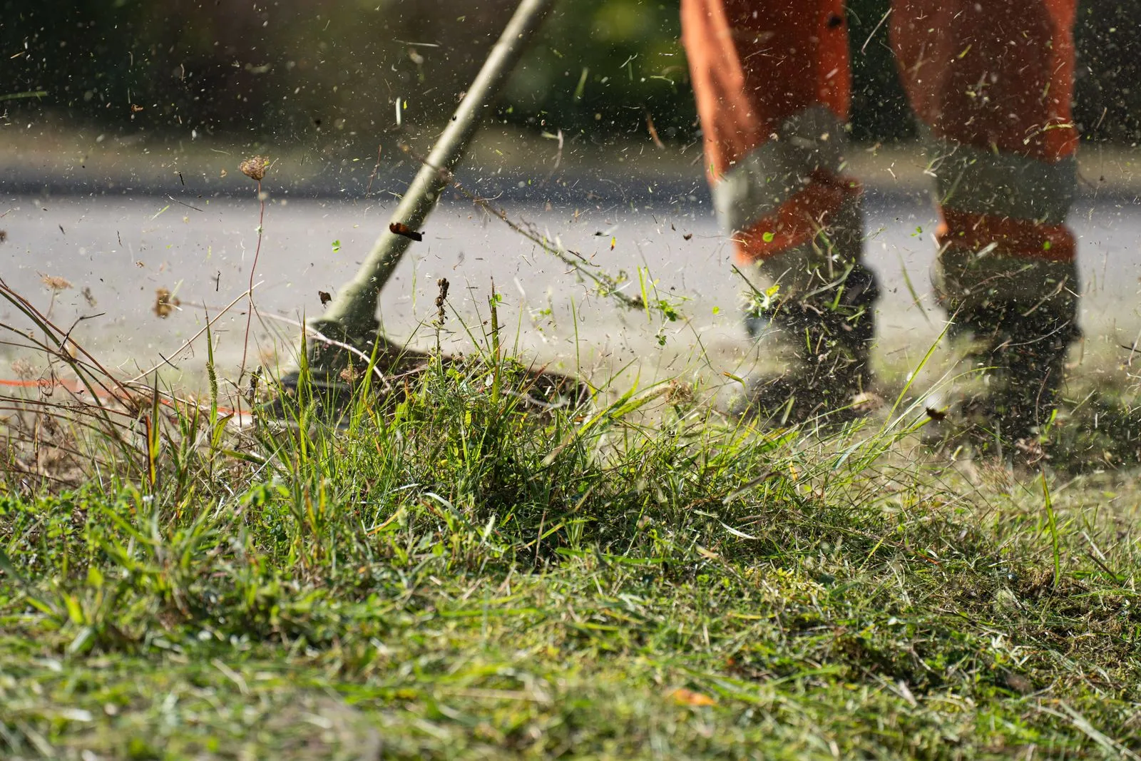 Close-up of a grass cutter trimming green grass outdoors